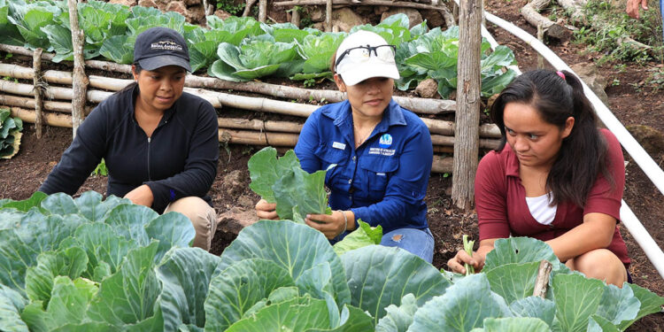Huertos comunitarios, una semilla de bienestar para las familias guatemaltecas
