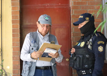 Imponen multa de más de Q24 mil por atropellar a un perro