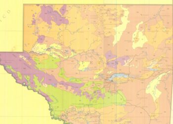 Importancia de los mapas para optimizar los cultivos en Guatemala