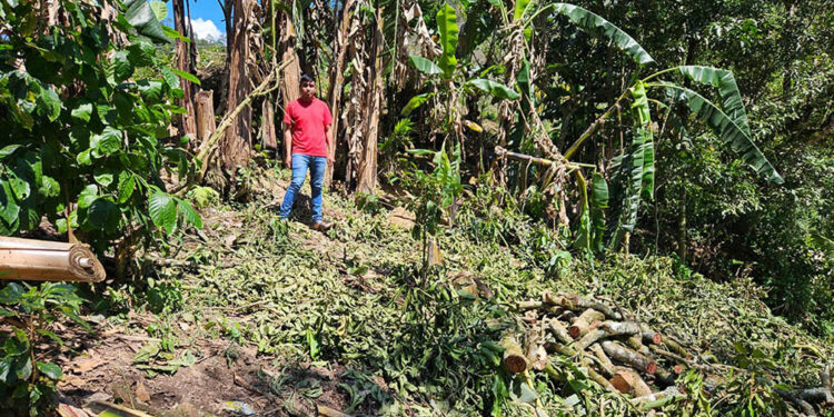 Impulso a la agricultura familiar con la creación de huertos en Camotán