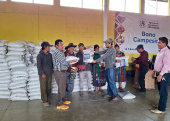 Impulso al uso de semillas nativas criollas para fortalecer la agricultura familiar