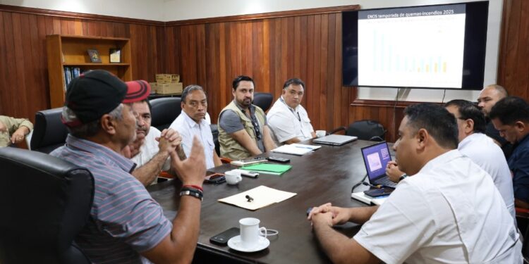 Planifican como enfrentar la temporada de incendios forestales en Petén