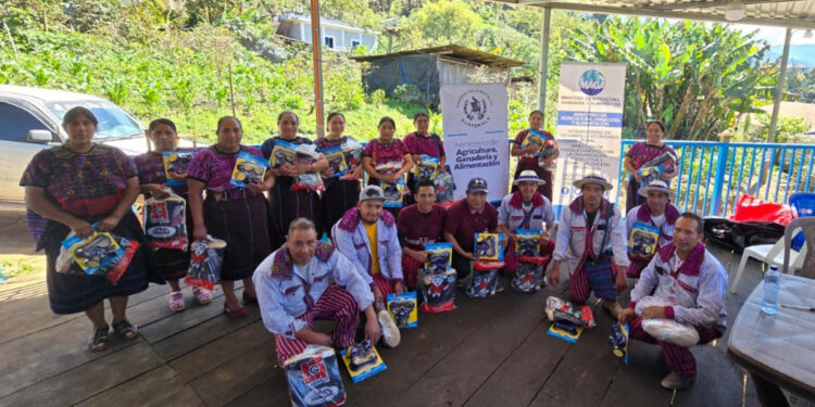 Insumos y capacitación fortalecerán producción de café en Huehuetenango