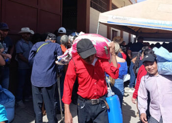 La asistencia alimentaria llegará a más de 62 mil familias en febrero