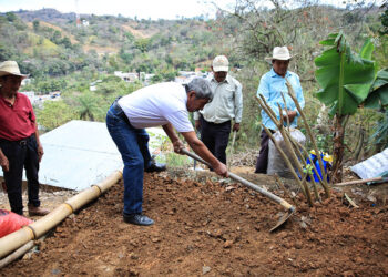La siembra en un suelo mineral