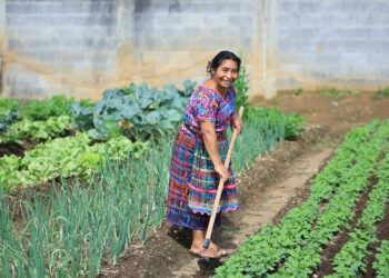 Los huertos comunitarios fortalecen a las familias rurales