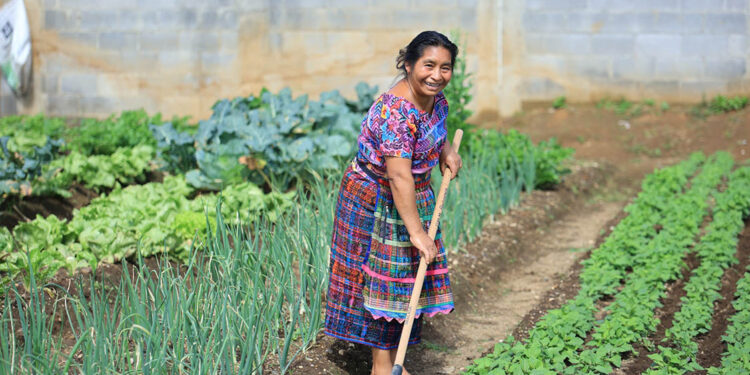 Los huertos comunitarios fortalecen a las familias rurales