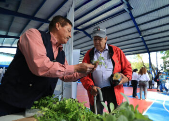 Los huertos familiares son una alternativa para la alimentación y bienestar de los adultos mayores