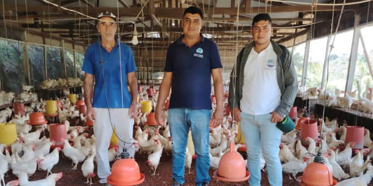 Más productores locales se suman a la alimentación escolar en Izabal