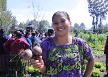 Metodología campesino a campesino