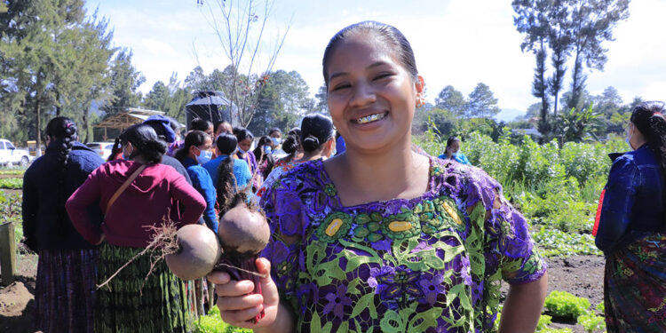 Metodología campesino a campesino