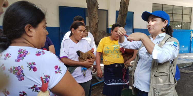 Mujeres de Masagua se capacitan en medicina preventiva en aves de traspatio