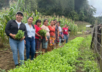 Mujeres del caserío El Poxté construyen un huerto comunal