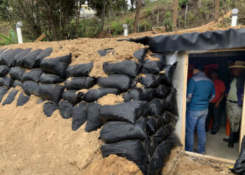 Nuevo sistema de almacenamiento mejora la producción de papa