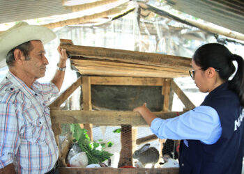 Ordenamiento en la producción y crianza de conejos
