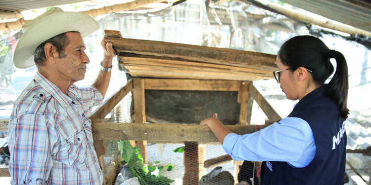 Ordenamiento en la producción y crianza de conejos