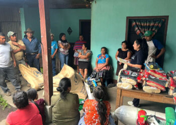 Pequeños caficultores reciben capacitación e insumos para mejorar producción