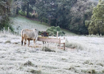 Prevén bajas temperaturas en 86 municipios