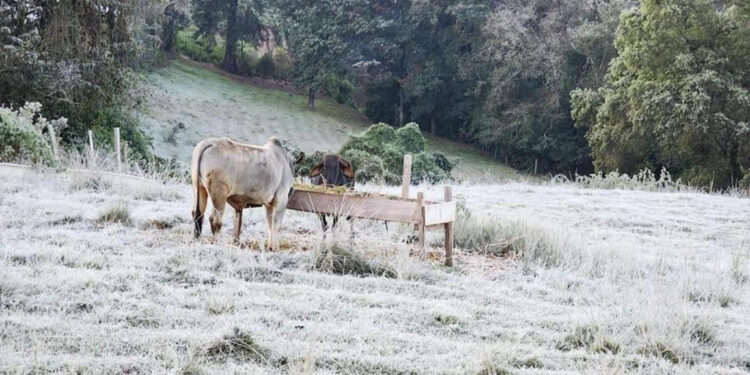 Prevén bajas temperaturas en 86 municipios