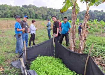 Productores fortalecen su participación en la alimentación escolar en Petén
