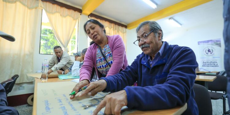 Reforzando procesos de comercialización de café de pequeños productores