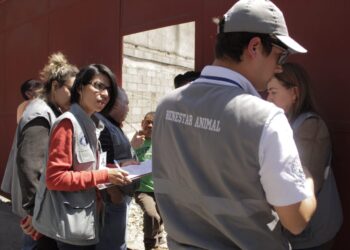 Se atiende de forma inmediata caso de perro maltratado en Mixco