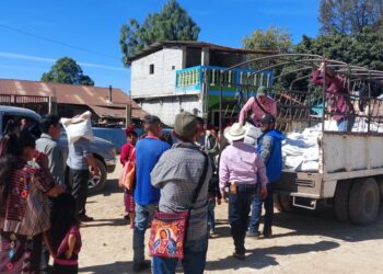 Semillas nativas criollas llegan a productores gracias al Bono Campesino