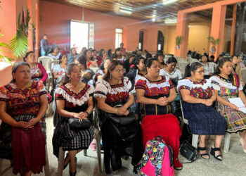 Surge nueva asociación de productoras sololatecas