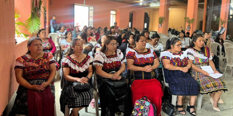 Surge nueva asociación de productoras sololatecas