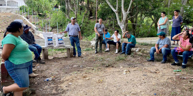 Trabajando por la promoción de las legumbres en Guatemala