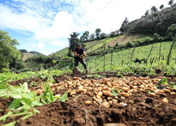 Transparencia en la gestión del Crédito Tob’anik