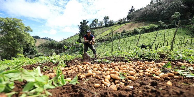 Transparencia en la gestión del Crédito Tob’anik