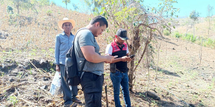 Verifican área para impulsar sistema de riego por goteo en Chiquimula