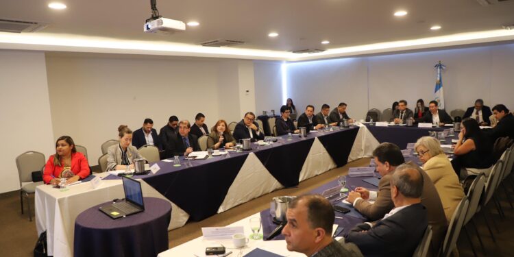 MIEMBROS DEL CONSEJO NACIONAL DE CAMBIO CLIMÁTICO SE PREPARAN PARA LA PRIMERA REUNIÓN DEL AÑO 2025