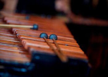 ¡El Día de la Marimba se celebrará a lo grande este 20 de febrero!