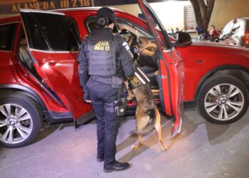 Capturada trasladaba una fuerte suma de dinero vinculado a pandillas