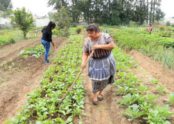 ¿Qué es la agricultura familiar?