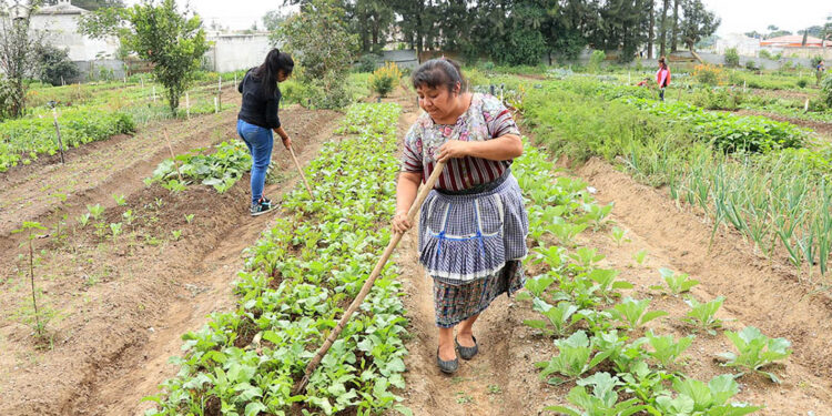 ¿Qué es la agricultura familiar?