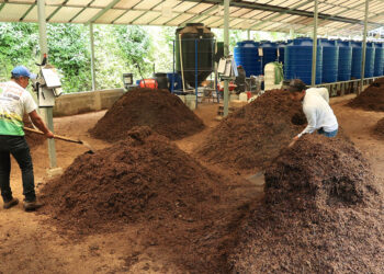 Abono orgánico, una práctica que mejorar la fertilidad del suelo