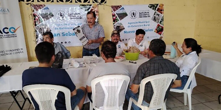 Acercando el fomento de la producción de granos básicos en Retalhuleu