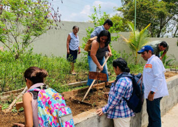 Agricultura familiar fomenta la producción de alimentos en las escuelas