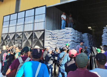 Bono Campesino impulsa la producción agrícola de Guatemala