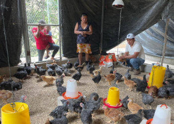 Brindan asistencia técnica a mujeres del caserío El Espinal de Camotán