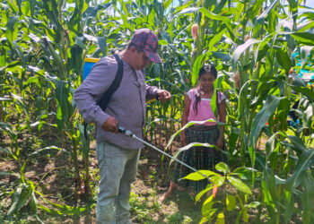 Brindan asistencia técnica para mejorar cultivos en Zona de Adyacencia