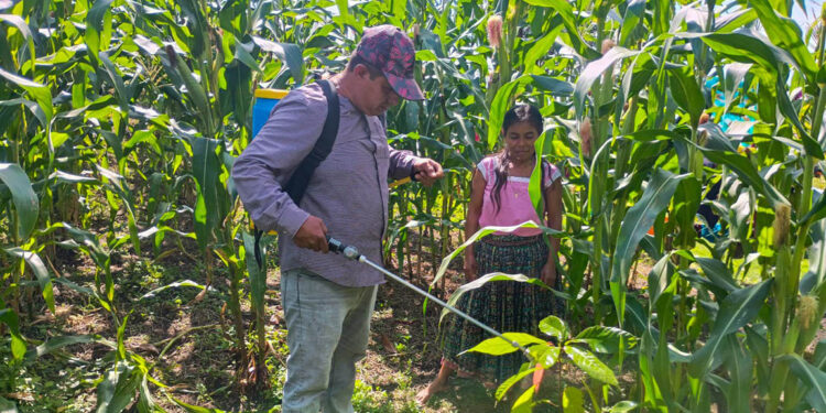 Brindan asistencia técnica para mejorar cultivos en Zona de Adyacencia