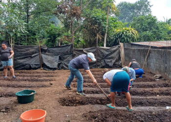 Con huertos familiares promueven producción de alimentos en Escuintla