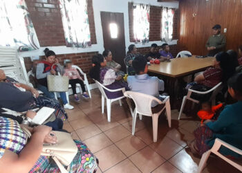 Crece participación de productores en el Programa de Alimentación Escolar