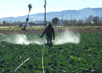 Emitidos más de 1600 Permisos de Importación de Insumos Agrícolas
