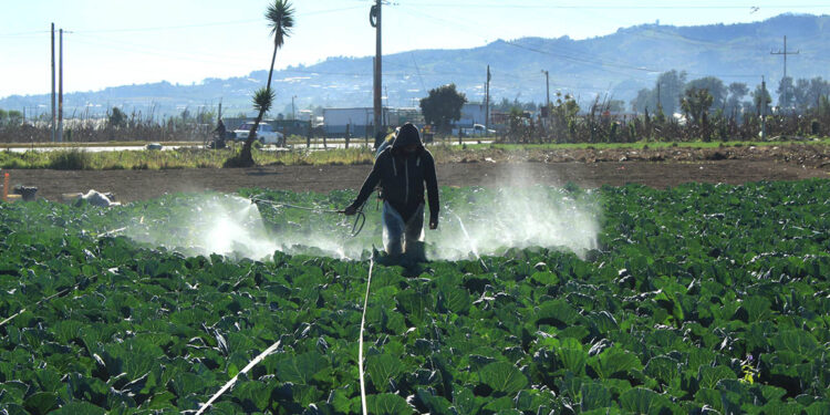 Emitidos más de 1600 Permisos de Importación de Insumos Agrícolas
