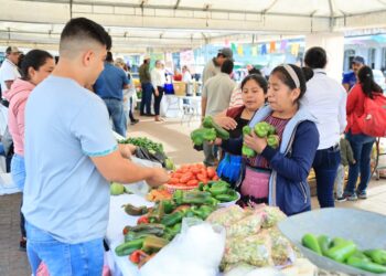 En la segunda semana de marzo será la primera Feria del Agricultor en la capital